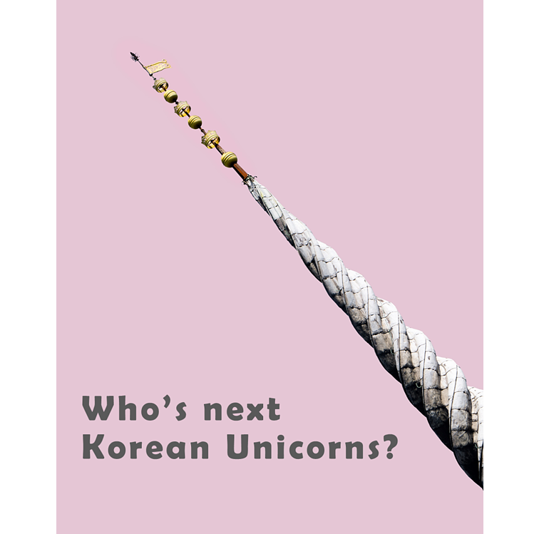 Who's next Korean Unicorns?